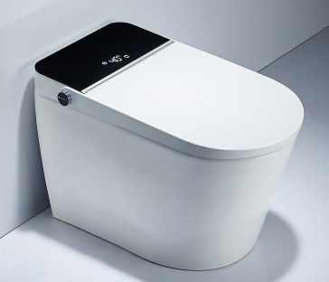智能馬桶ZN-096