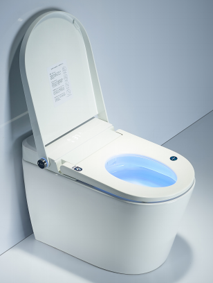 智能馬桶ZN-096