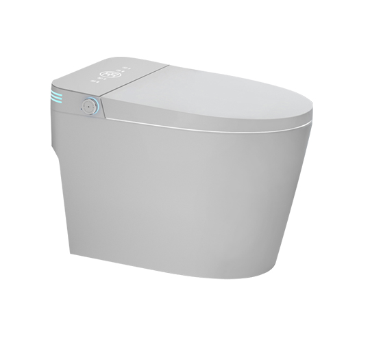 智能馬桶ZN-111