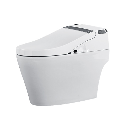 智能馬桶076