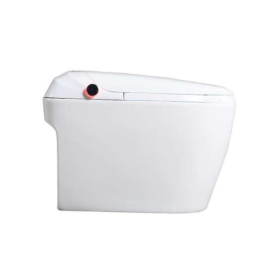 智能馬桶ZN-097