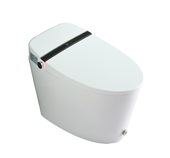 智能馬桶ZN-099