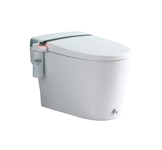 智能馬桶ZN-100(Q)MJ