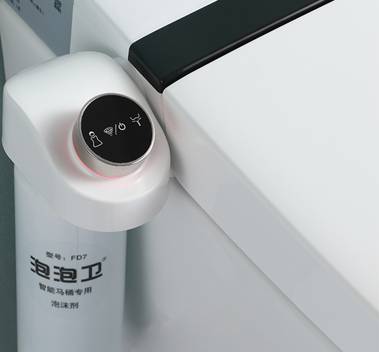 智能馬桶ZN-100(Q)MJ