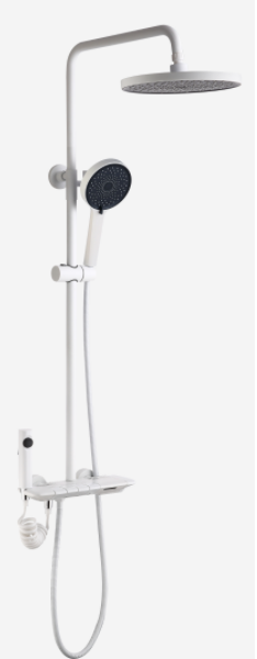 阿波羅丨AS-8131簡約時尚花灑套裝 升級浴室體驗